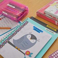 Labelprinter Dymo LetraTag 100T draagbaar azerty 12mm zilver - thumbnail