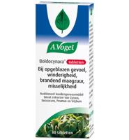 Boldocynara - thumbnail