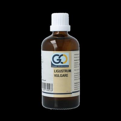 GO Ligustrum vulgare bio 100 Milliliter