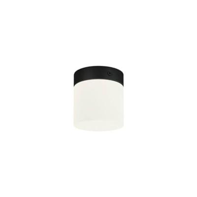 Lyora Ø 10cm badkamer plafondlampCayo - 8055