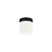 Lyora Ø 10cm badkamer plafondlampCayo - 8055 - thumbnail