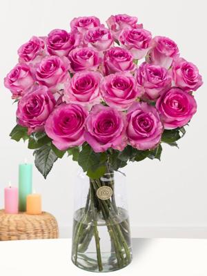 20 roze rozen - Revival - XL rozen