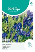 Zaden Lathyrus Reuk- of Siererwt Royal Family Blauw Hortitops - Hortitops - thumbnail