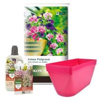 Pokon Pokon Terras & Balkon Cadeauset - Potgrond - thumbnail