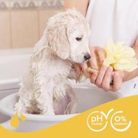 BEAPHAR SHAMPOO PUPPY - thumbnail