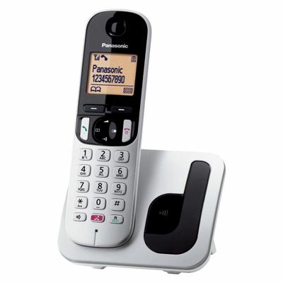 Draadloze telefoon Panasonic KXTGC250SPS Zilverkleurig