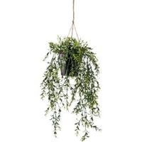Zijdeplant Hangplant met pot Buxus kunstplant Driesprong Collection - Driesprong collection - thumbnail