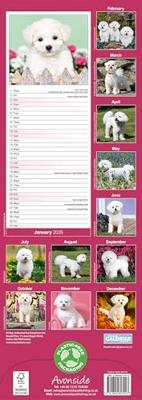 Bichon Frise Kalender 2026 Slimline