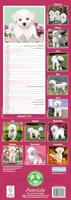 Bichon Frise Kalender 2026 Slimline - thumbnail