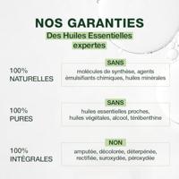 Pranarôm Essentiële Olie Ravintsara 10ml - thumbnail