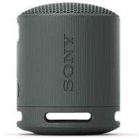 Sony SRSXB100B.CE7 Bluetooth luidspreker Handsfree-functie, Spatwaterdicht Zwart - thumbnail