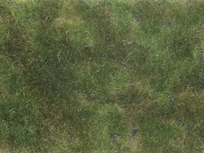 NOCH 07251 Bodembedekker Landschap bouw Olijf-groen