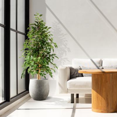 Ficus Exotica kunstboom 150cm - groen