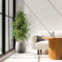 Ficus Exotica kunstboom 150cm - groen - thumbnail