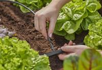 Gardena Verbindingsstuk 4,6 mm 3/16" - 13213-20 13213-20 - thumbnail