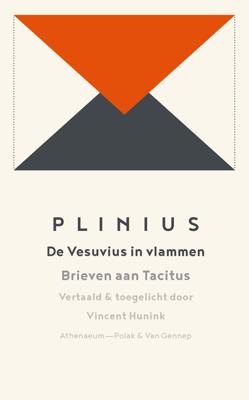 De Vesuvius in vlammen - Plinius - ebook