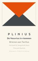 De Vesuvius in vlammen - Plinius - ebook - thumbnail