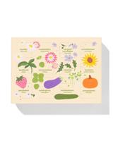 HEMA Zaadjeskalender - thumbnail