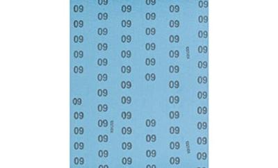 PFERD TOOLS BG BL 230x280 A 60 45012006 Schuurpapier Korrelgrootte (num) 60 (l x b) 280 mm x 230 mm 50 stuk(s)