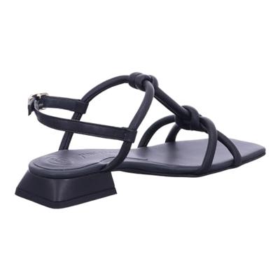 Paul Green 6036 - alle