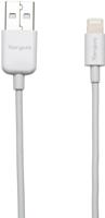 Targus ACC96101EU Lightning naar USB Oplaadkabel - 1 m - thumbnail