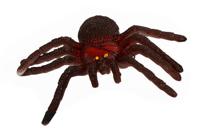 Jungle Expedion Spin, 14cm - thumbnail