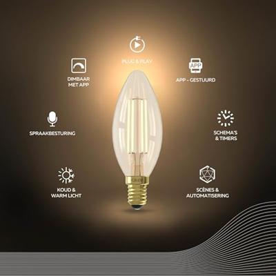 Circle Kaarslamp4,9W - E14 - Led - B35 - 470lm goud - 5101002900
