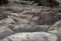 Deco Poster B1 60X30 Cm aquaria Superfish - Superfish - thumbnail