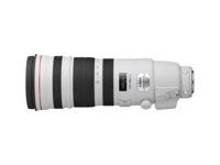 Canon EF 200-400mm F/4.0 L iS USM Extender 1,4x - thumbnail