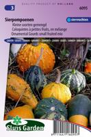 Cucurbita Pepo zaden Sierkalebas sierpompoen - thumbnail