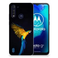 Motorola Moto G8 Power Lite TPU Hoesje Papegaai - thumbnail