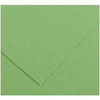 Fiches Iris Apple Groen 50 x 65 cm - thumbnail