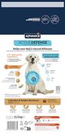 Advance adult labrador retriever - thumbnail