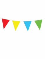 XL Vlaggenlijn Meerkleurig - 30 Meter - thumbnail