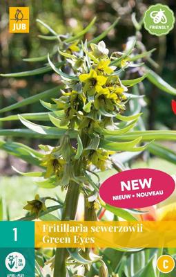 Fritillaria sewerzowii green eyes 1 bol Fritillaria sewerzowii green eyes 1 bol