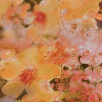 Poe - LP (2090405456845) - thumbnail