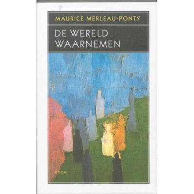 De wereld waarnemen (Paperback)