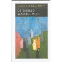 De wereld waarnemen (Paperback) - thumbnail