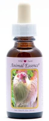 Animal Essences Sloth (luiaard) 30 Milliliter