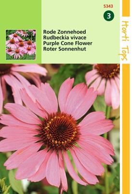 Zaden Echinacea Rode Zonnehoed Hortitops - Hortitops