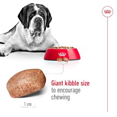 Royal Canin Giant Adult hondenvoer 4 kg - thumbnail