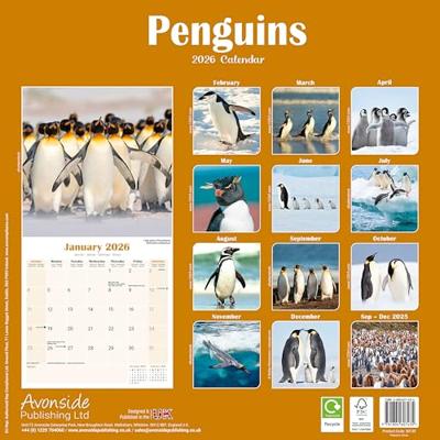 Pinguin Kalender 2026