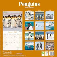 Pinguin Kalender 2026 - thumbnail