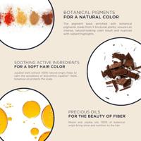 Phytocolor Permanent Color 1 Noir - thumbnail
