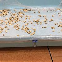 Mio MiVue C595W Full HD - WiFi - GPS - flitspalen Dashcam Zwart - thumbnail