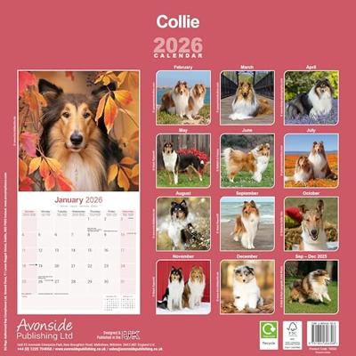 Schotse Herder Kalender 2026