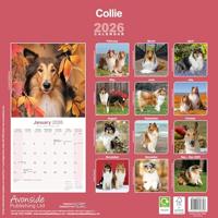 Schotse Herder Kalender 2026 - thumbnail