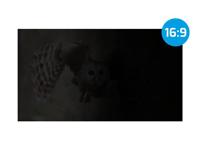 NATEC Owl Randloze privacyfilter voor schermen 39,6 cm (15.6") - thumbnail