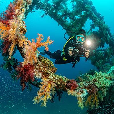 Sealife SL052 Ultra-Wide Angle Dome lens voor Micro-series enRM4K