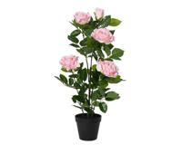 Kaemingk kunstplant roos 55 cm roze - thumbnail